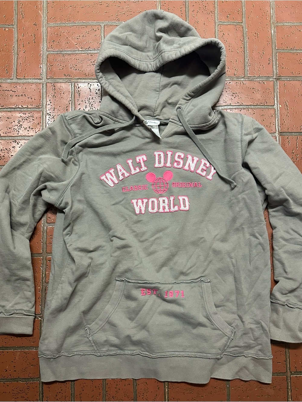 Disney Walt Disney World Gray Hoodie with Pink Embroidery